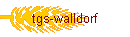 tgs-walldorf